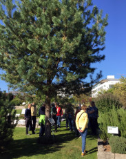 04 Wissenschaftsgarten