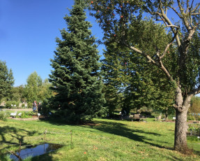 04 Wissenschaftsgarten