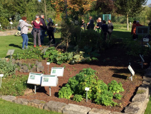 04 Wissenschaftsgarten