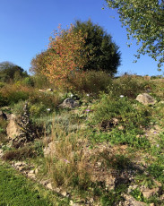 04 Wissenschaftsgarten