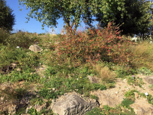 04 Wissenschaftsgarten