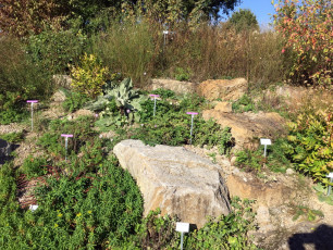 04 Wissenschaftsgarten