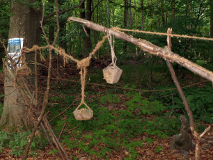 08 Herbstein-Hoherodskopf