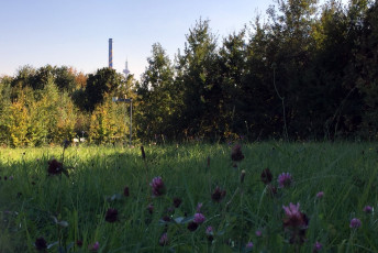 04 Wissenschaftsgarten