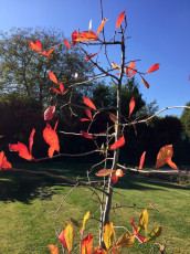 04 Wissenschaftsgarten