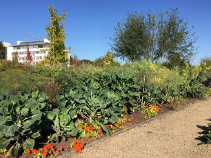 04 Wissenschaftsgarten