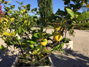 04 Wissenschaftsgarten