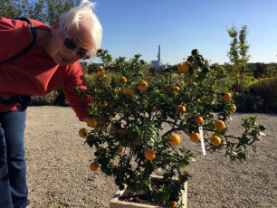 04 Wissenschaftsgarten