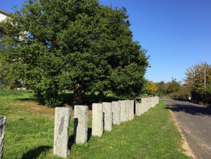 04 Wissenschaftsgarten