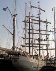 10 Segeltour